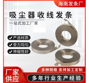 廠家供應(yīng)吸塵器收線發(fā)條彈簧 不銹鋼五金彈簧發(fā)條
