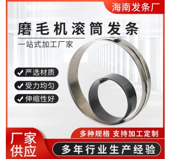 廠家供應(yīng)磨毛機滾筒發(fā)條 貨架升降恒力平面渦卷收線發(fā)條彈簧